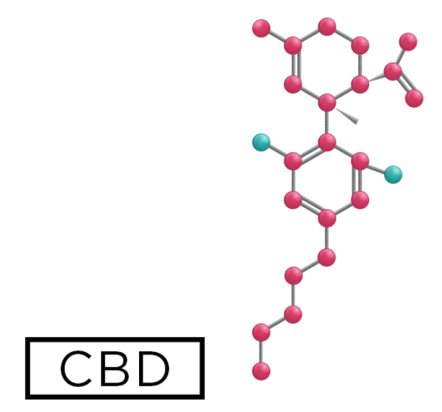 Choosing the Right CBD Product for Your Needs: A Comprehensive Guide