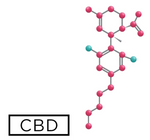 Choosing the Right CBD Product for Your Needs: A Comprehensive Guide